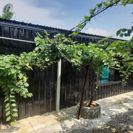 บ้านสวนปวิชญา เกษตรอินทรี Fang Extérieur photo