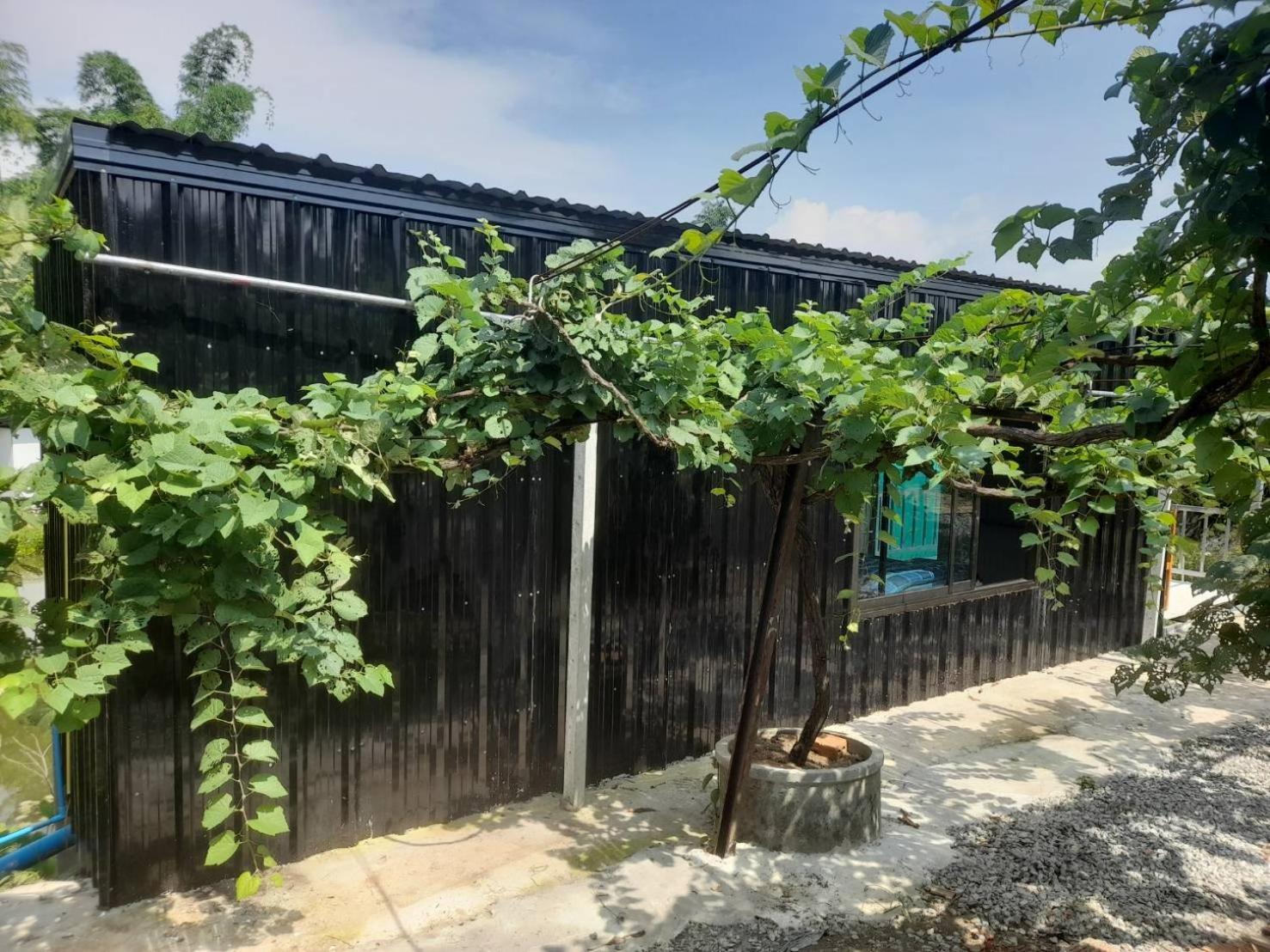 บ้านสวนปวิชญา เกษตรอินทรี Fang Extérieur photo
